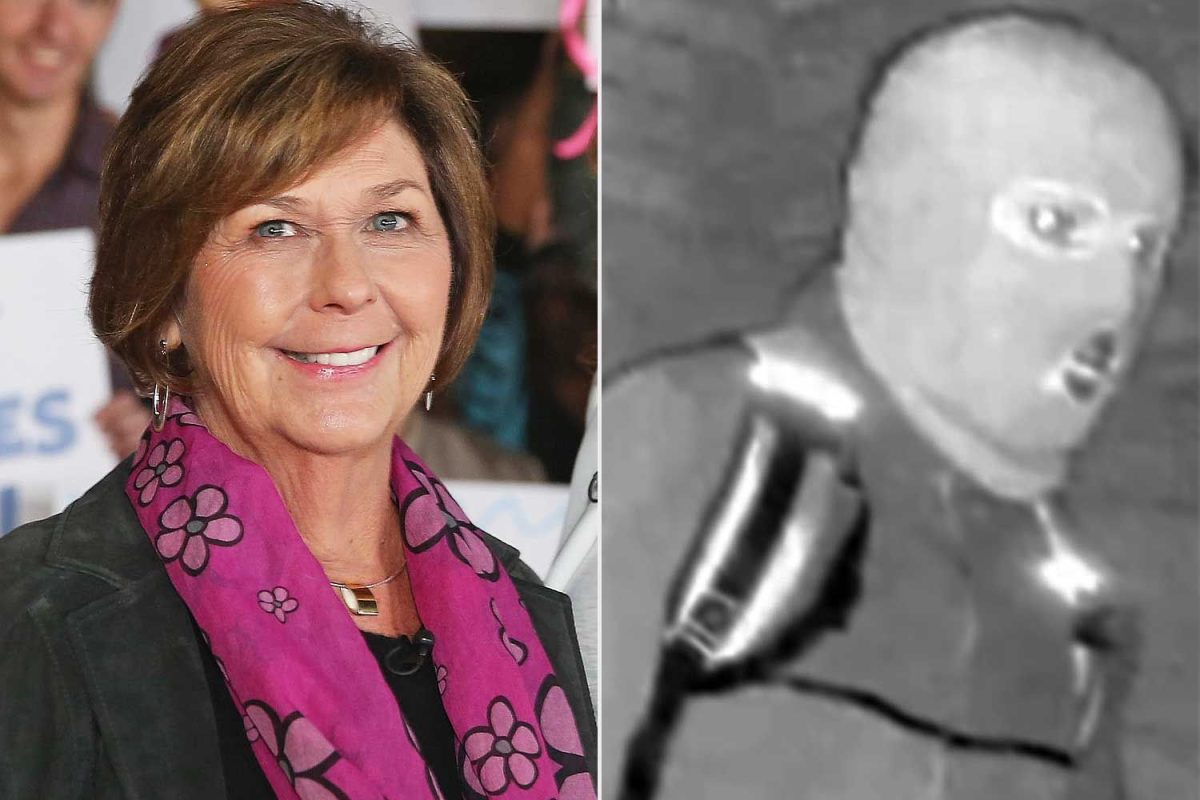 nancy guthrie update