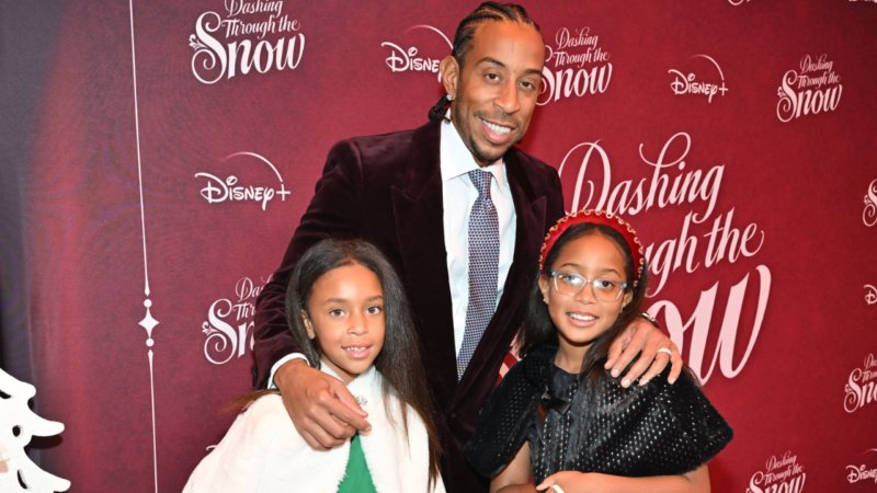 ludacris net worth