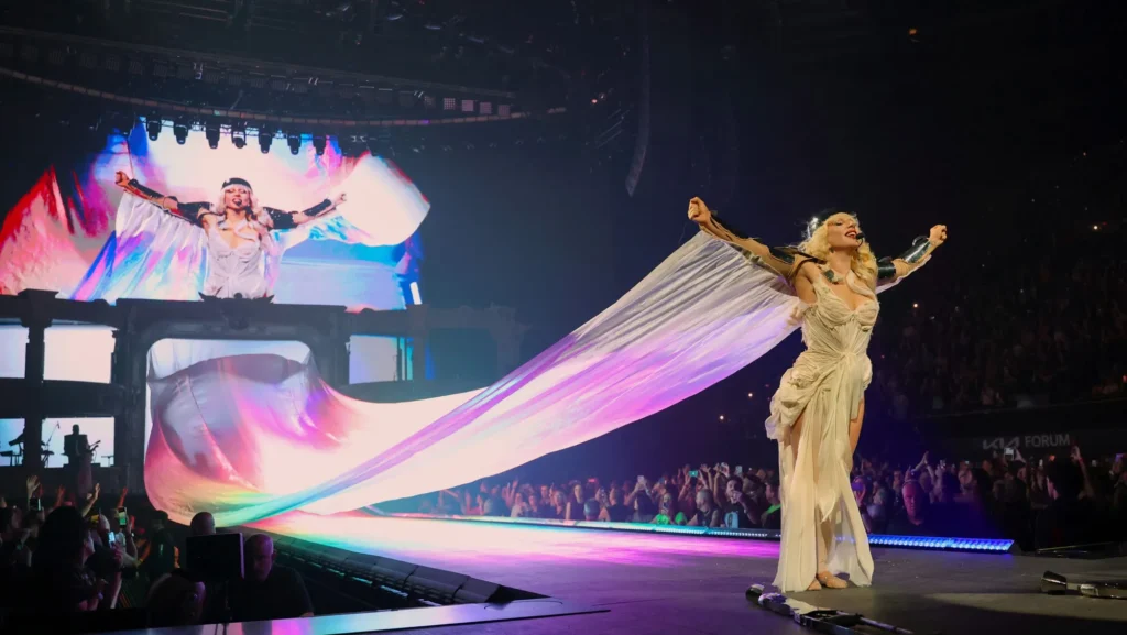 lady gaga meat dress lady gaga meat dress